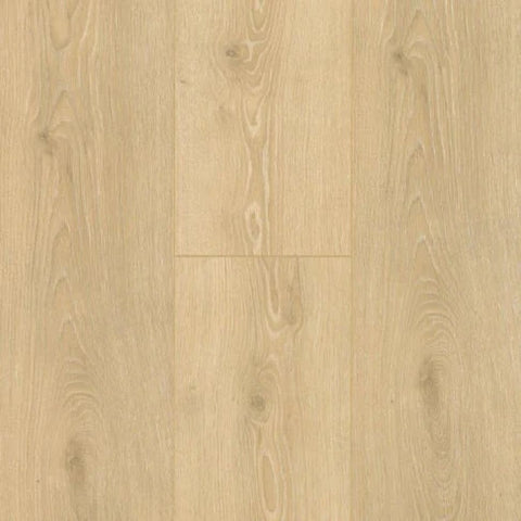Chesapeake Laminate All American Premium Honeycomb
