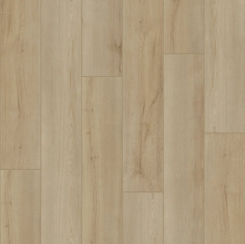Pro Series Ultra Collection Calypso