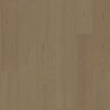 Duchateau Société Collection Beig