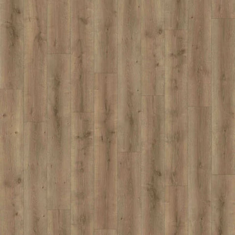 Chesapeake Laminate Timber Design Rainwood