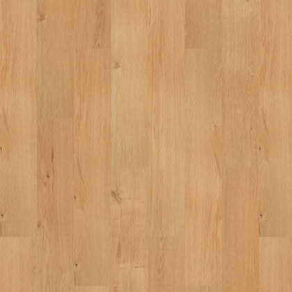 Mohawk Vinyl SolidTech R Select Ashland Crest Ansley