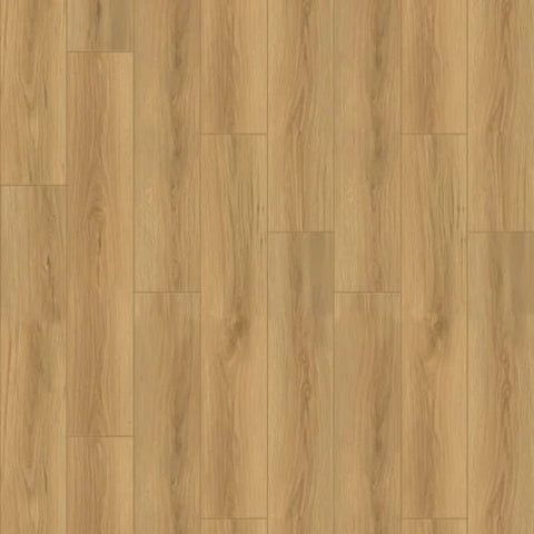 Chesapeake Laminate Fusion Design XL Acadia