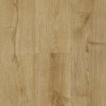 Next Floor Laminate Botanica Roasted Sesame