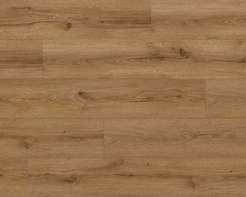 LW Laminate Cascades Emory