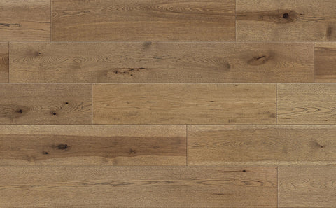 Johnson Olympus Apollo