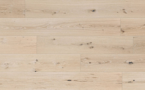 Johnson Olympus Ares