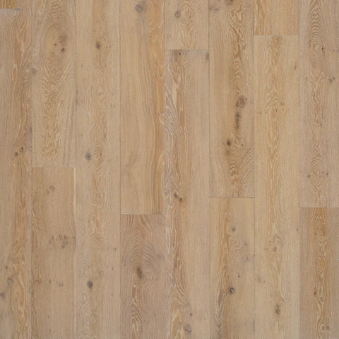 8 1/2" x 1/2" Chesapeake Genesis Overland