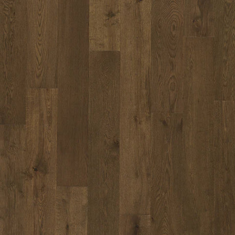 6 1/2" x 3/8" Chesapeake Estuary Horseshoe