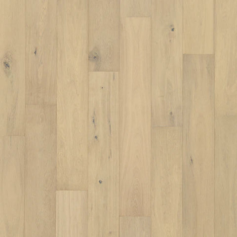 6 1/2" x 3/8" Chesapeake Estuary Mussel