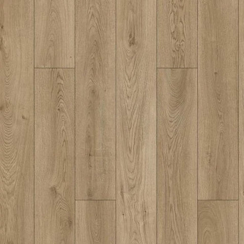 Chesapeake Vinyl Mcore1 Fossil