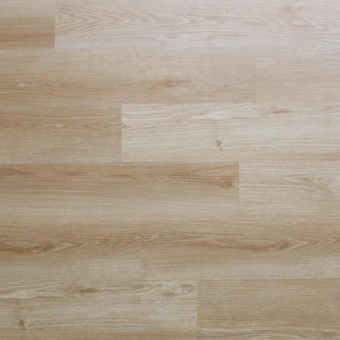 Chesapeake Vinyl Essentials Plus SPC Snowshoe