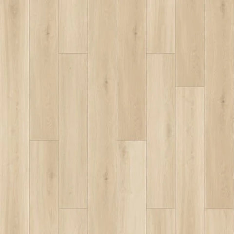 Chesapeake Laminate Fusion Design XL Shoreline