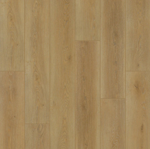 Pro Series Signature Collection Tucson