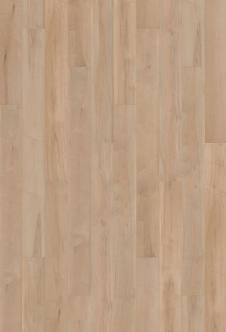 Watershed Laminate Mississippi Maple