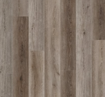 Nuvelle Vinyl Density Ocean View Altamonte Springs