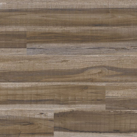 MSI Flooring Vinyl Cyrus XL Series Exotika