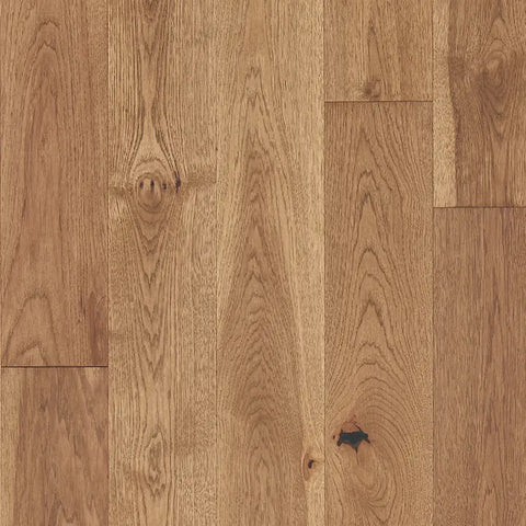 Mannington Latitude Forest Park Sunbeam