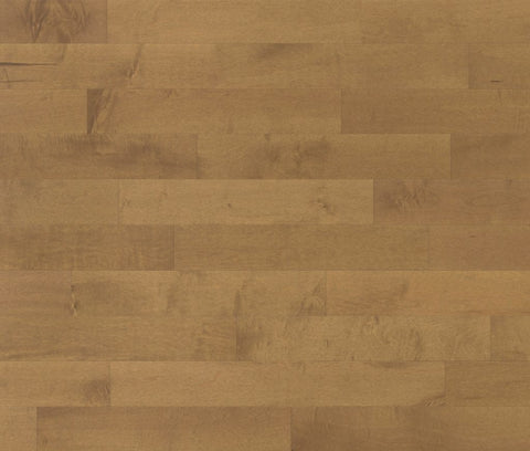 5 3/16" x 7/16" Lauzon Collection Sofia