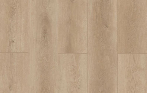 Lions Floor Vinyl Indoor Delight Castle Forge