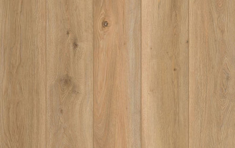 Lions Floor Vinyl Indoor Delight Shoreline Décor