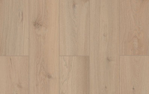 Lions Floor Vinyl Lone Star Spirit XL Sea Shell