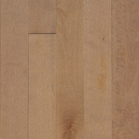 4 1/4" x 3/4" Birch - Prefinished Biscotti