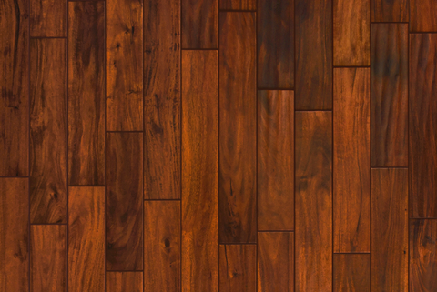 Garrison Exotics Acacia Bronze