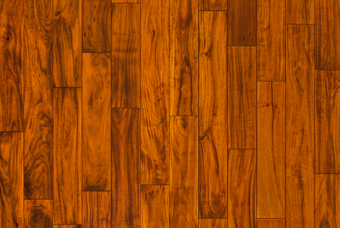 Garrison Exotics Acacia Gold