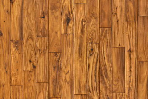 Garrison Exotics Acacia Natural