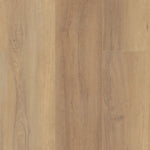 COREtec Pro Plus XL Enhanced HD Canterbury Elm