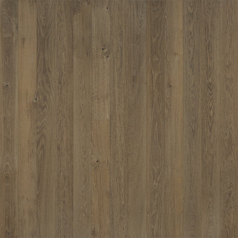 Hallmark Regatta Collection Anchor Oak