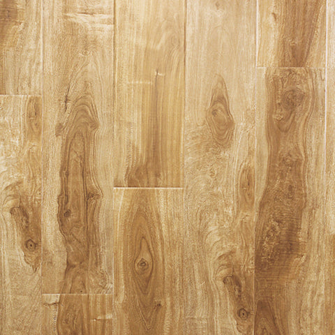 Parkay Laminate Forest WR Sand Dollar Acacia WR