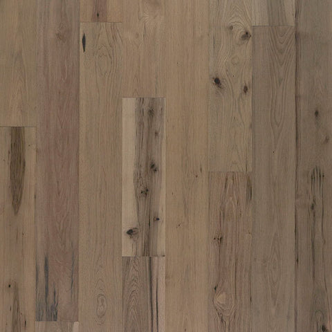 Palmetto Road Savannah Collection Oglethorpe
